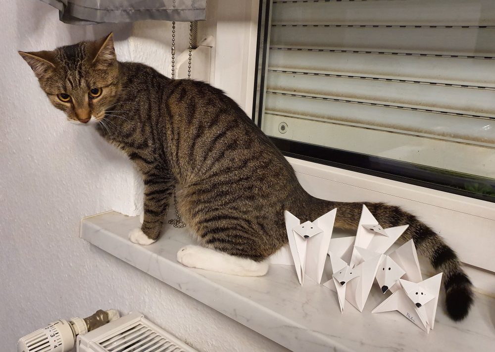 Murkel auf der Fensterbank zwischen den Papierfiguren