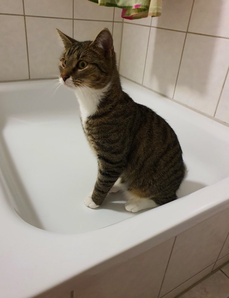 Murkel in der Badewanne, ganz ohne Wasser