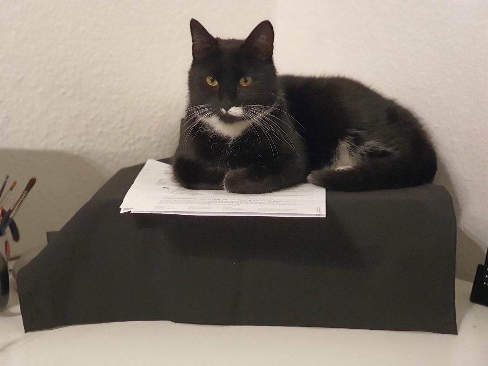 Happy hält die Papiere warm