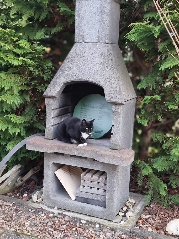 Happy hat einen Platz am Gartenkamin gefunden