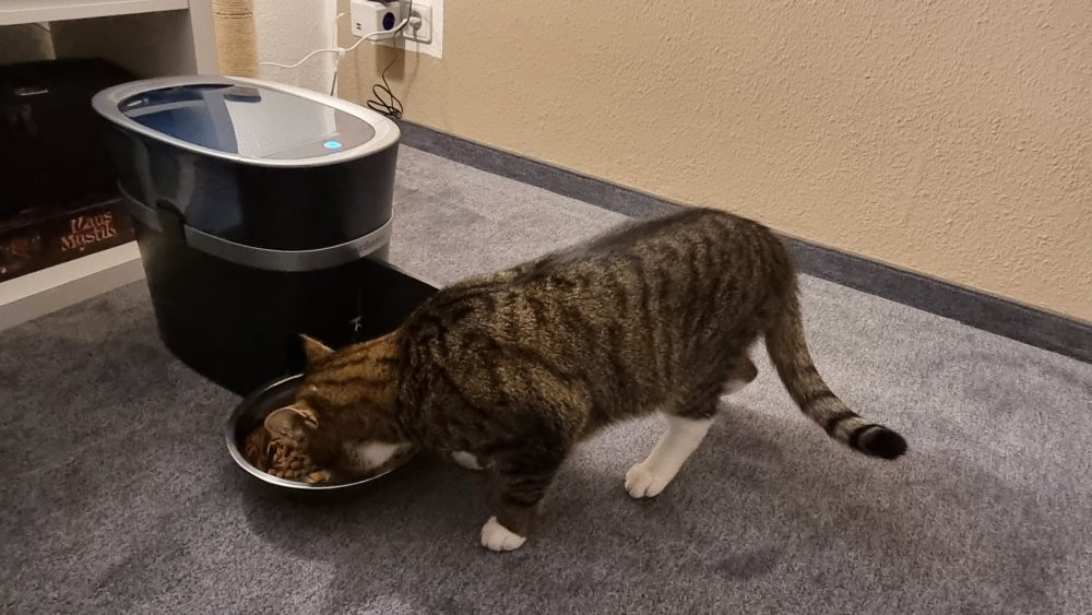 Frühstück vom Futterautomaten