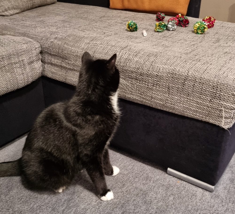 Happy begutachtet die Weihnachtskugeln