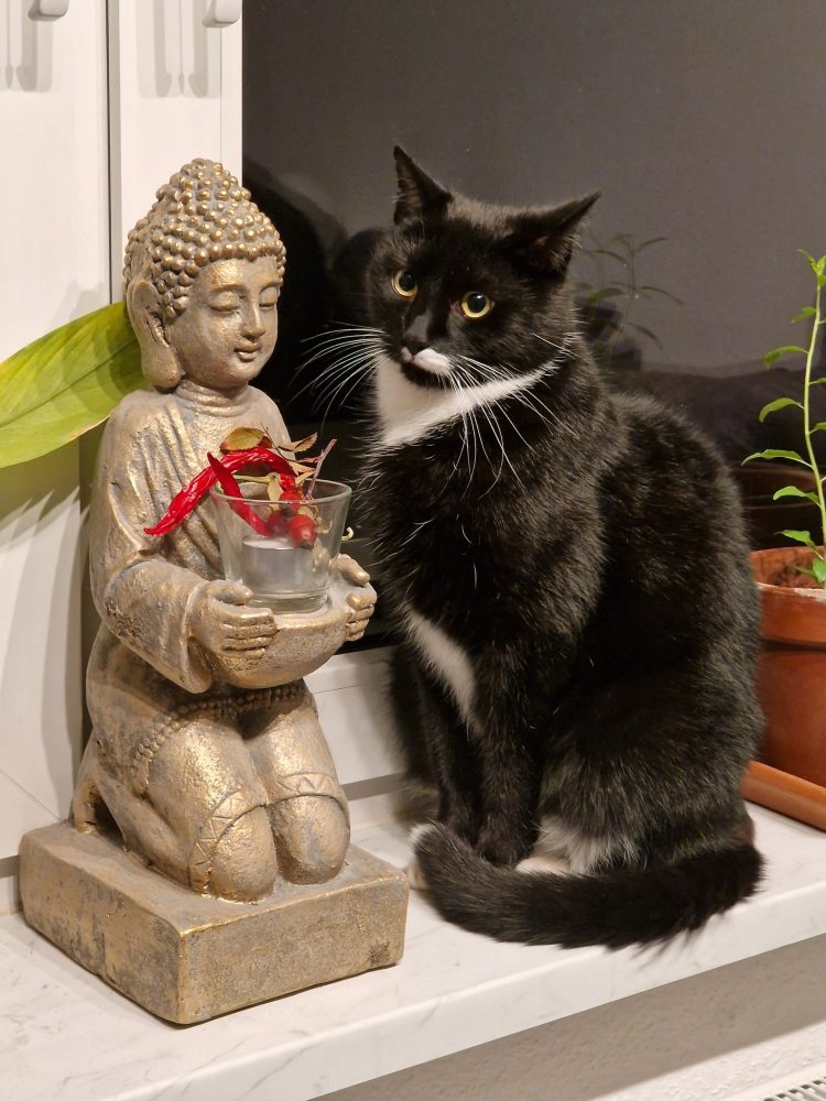 Happy und der Buddha
