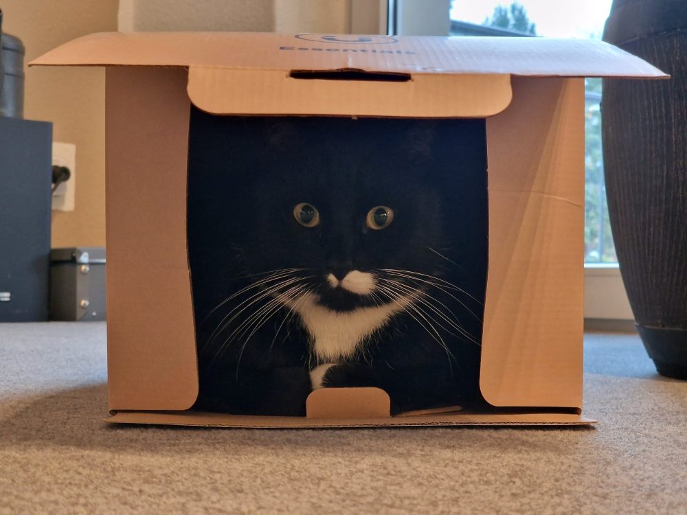 Happy im Karton, wie im Fernseher
