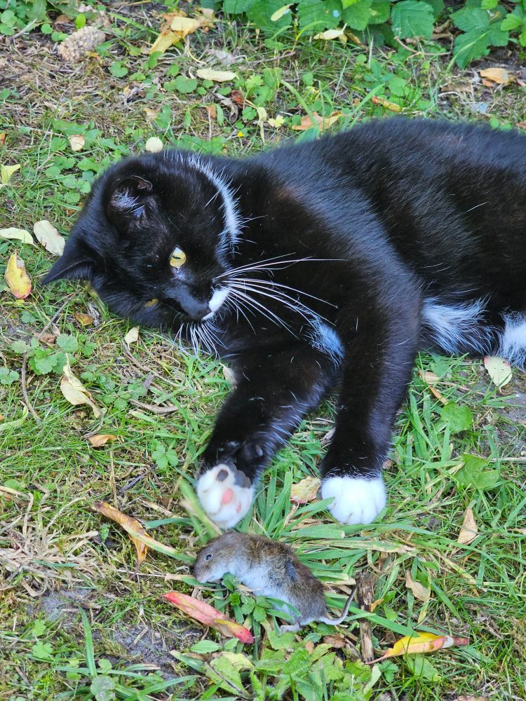 Stolz auf den Fang