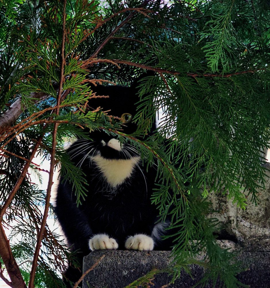 Gut versteckt