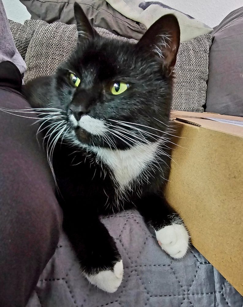 Happy auf dem Sofa