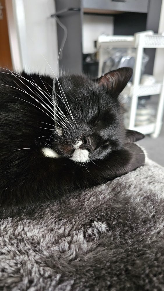 Happy döst