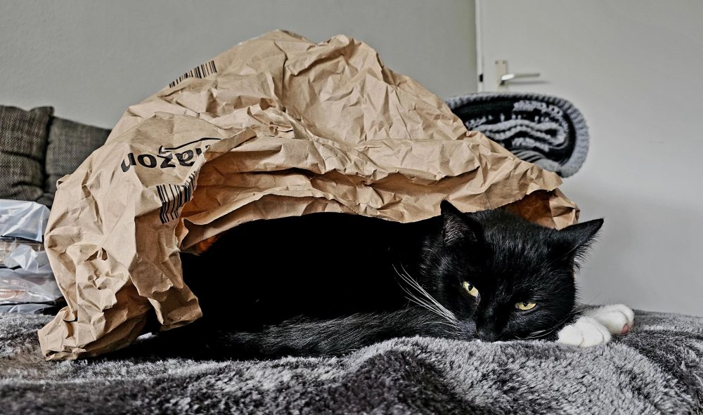 Gemütlich unter dem Papierdach