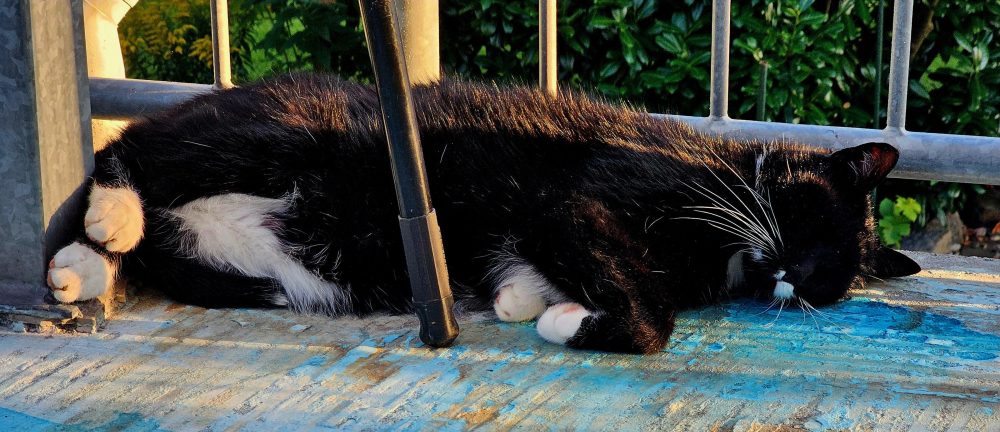 Feierabend auf dem Balkon