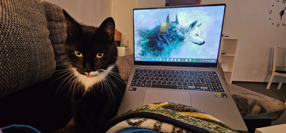 Happy leistet am Laptop Gesellschaft