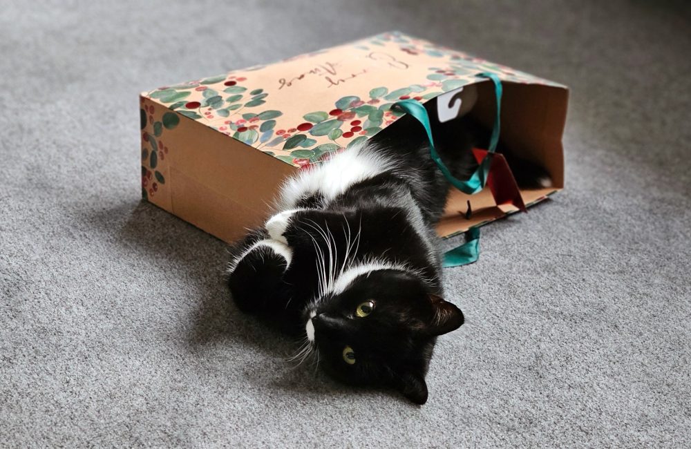 Merry Christmas!