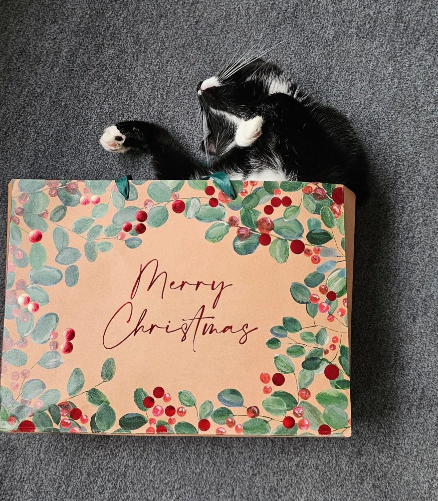 Happy und die Weihnachtstüte