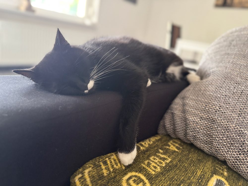 Mittagsschlaf