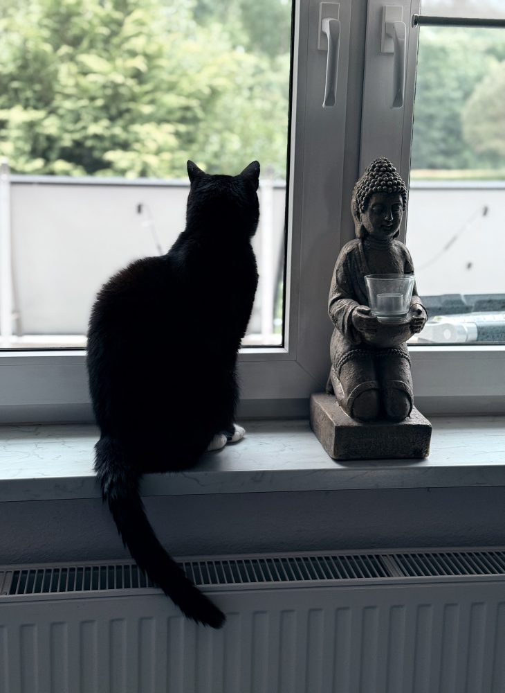 Happy neben dem Buddha