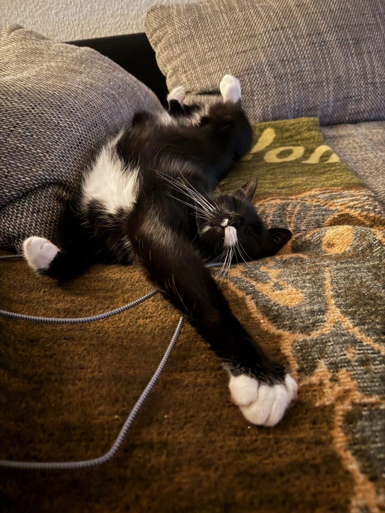 Happy auf dem Sofa