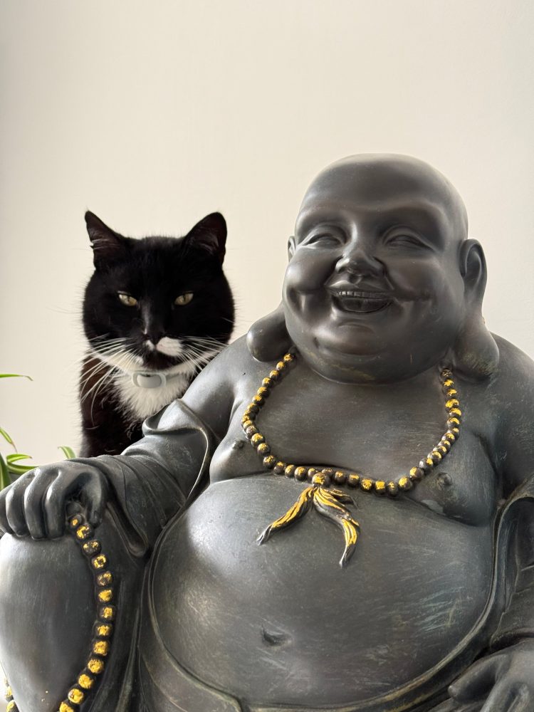 Happy und der lachende Buddha